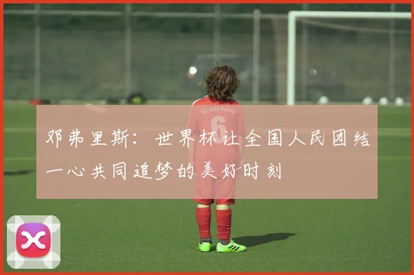 邓弗里斯：世界杯让全国人民团结一心共同追梦的美好时刻